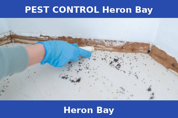 PEST CONTROL Heron Bay